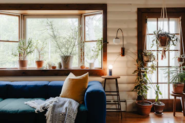 Living room with blue couch, potted plants, lamp, side table, and window.
